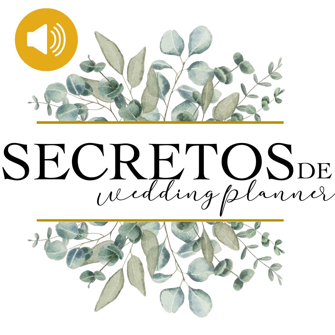 Audio Curso